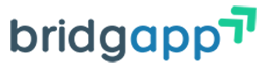 BridgApp Africa Logo